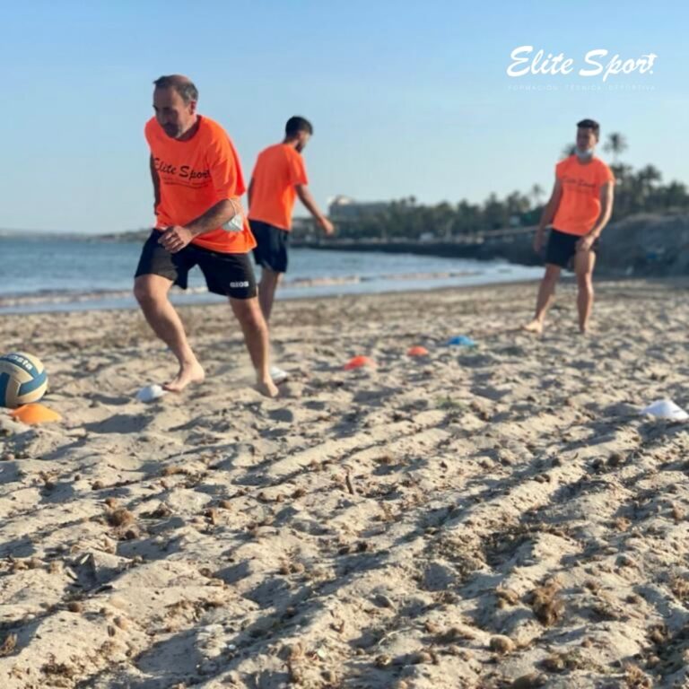 Entrenamiento físico - Curso Técnico deportivo Alicante