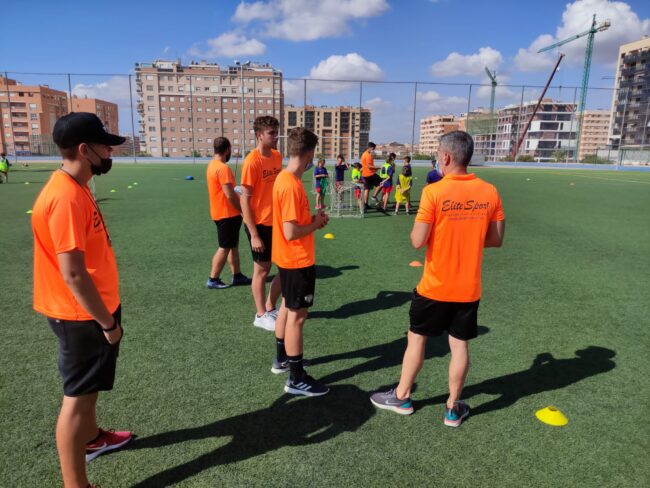 Entrenadores y técnicos deportivos en el deporte de base